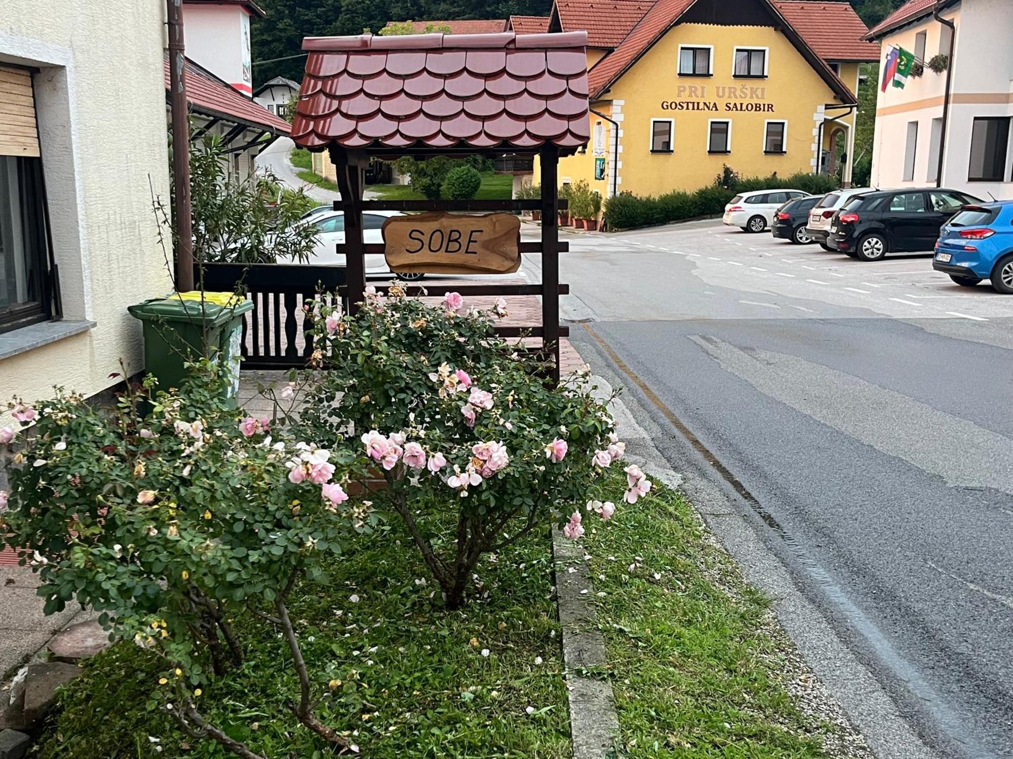 Karla'S House Bed & Breakfast Dobje pri Planini Exterior photo